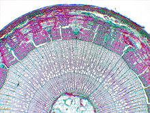 repository_1796-Thumbnail Image.jpg