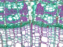 repository_1797-Thumbnail Image.jpg