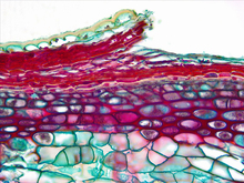 repository_1798-Thumbnail Image.jpg
