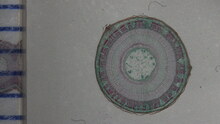 repository_1799-Thumbnail Image.jpg
