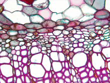 repository_1800-Thumbnail Image.jpg