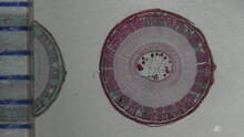 repository_1804-Thumbnail Image.jpg