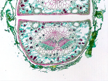 repository_1820-Thumbnail Image.jpg