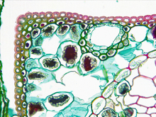 repository_1821-Thumbnail Image.jpg