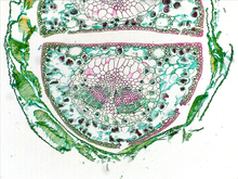 repository_1822-Thumbnail Image.jpg