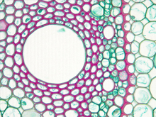 repository_1825-Thumbnail Image.jpg