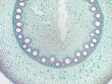 repository_1827-Thumbnail Image.jpg