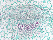 repository_1857-Thumbnail Image.jpg