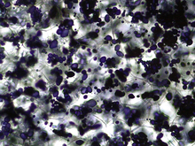 repository_1859-Thumbnail Image.jpg