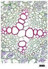 repository_1861-Thumbnail Image.jpg