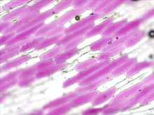 repository_1863-Thumbnail Image.jpg