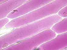 repository_1864-Thumbnail Image.jpg