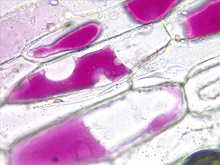 repository_1865-Thumbnail Image.jpg