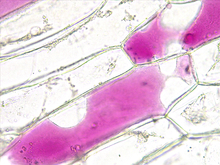 repository_1866-Thumbnail Image.jpg