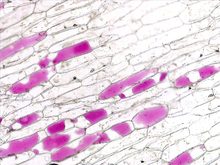 repository_1867-Thumbnail Image.jpg
