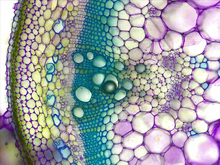 repository_1871-Thumbnail Image.jpg