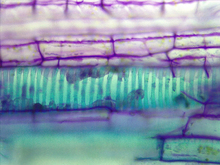 repository_1872-Thumbnail Image.jpg
