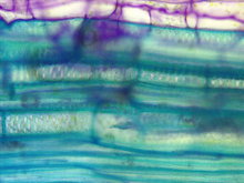 repository_1873-Thumbnail Image.jpg