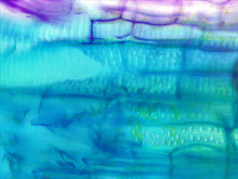repository_1875-Thumbnail Image.jpg