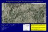 repository_1969-Thumbnail Image.png