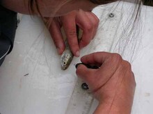 repository_233-Thumbnail Image.jpg