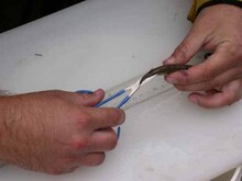 repository_236-Thumbnail Image.jpg