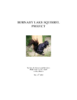 repository_273-Thumbnail Image.png