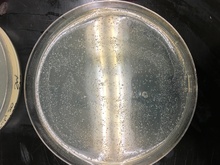 repository_2096-Thumbnail Image.jpg