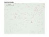 repository_2169-Thumbnail Image.png
