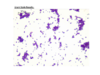 repository_2177-Thumbnail Image.png