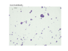 repository_2179-Thumbnail Image.png