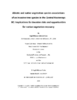 repository_2311-Thumbnail Image.png