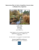 Mundy%20Park%20-%20Final%20restoration%20plan%20%28BCIT%20ER%20BSc%202026%29-Thumbnail Image.png