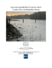 Queensborough%20Mudflat%20-%20Final%20restoration%20plan%20%28BCIT%20ER%20BSc%202026%29-Thumbnail Image.png